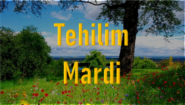 tehilim-mardi