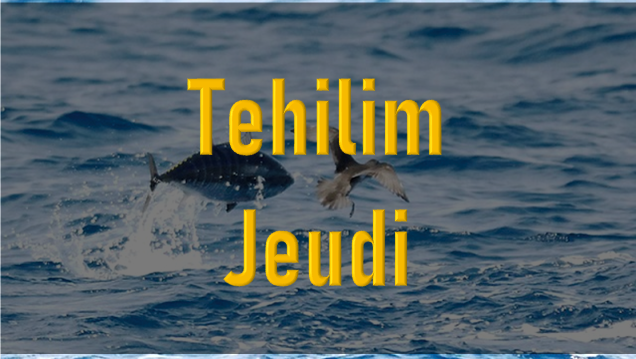 tehilim-jeudi