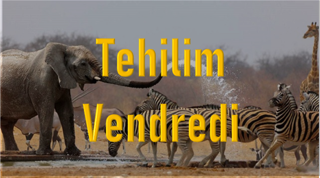 tehilim-vendredi