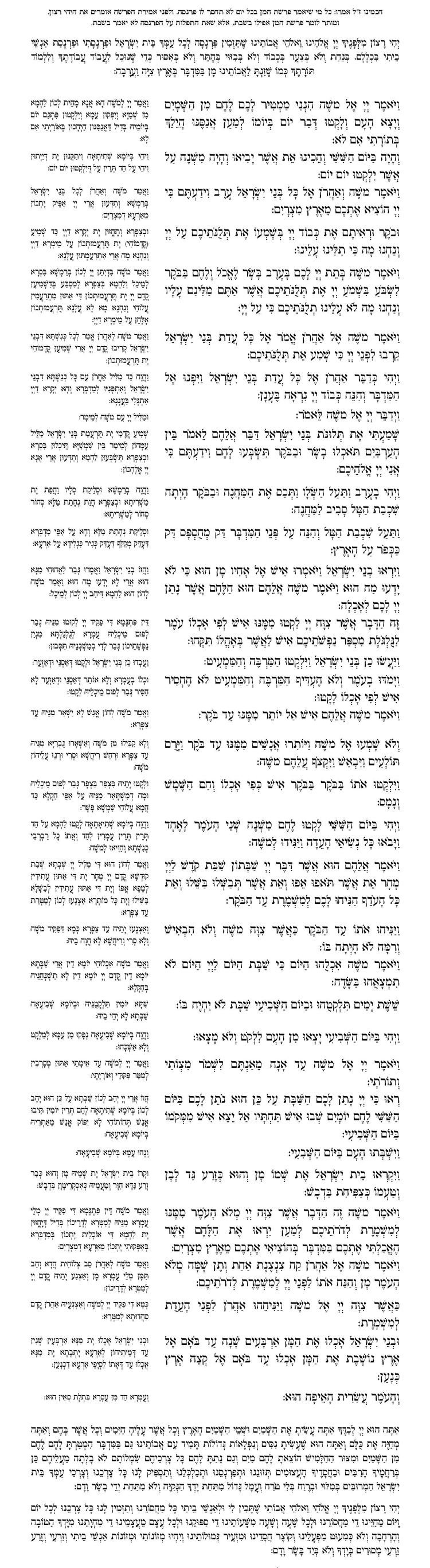 Parashat Haman